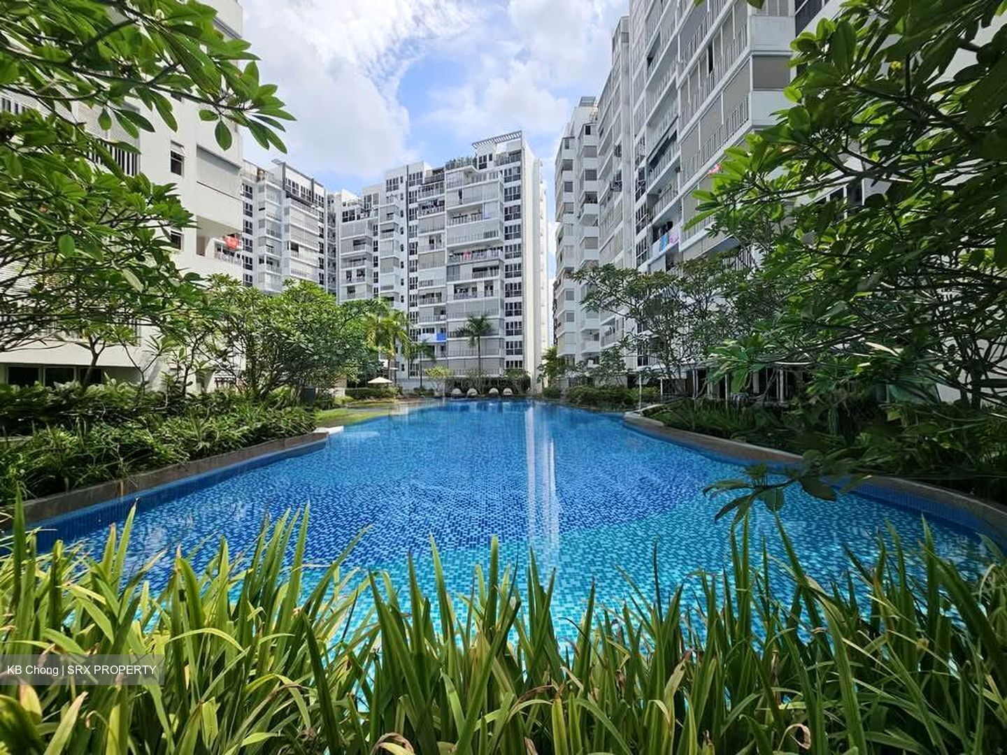 Forestville (D25), Condominium #541095931